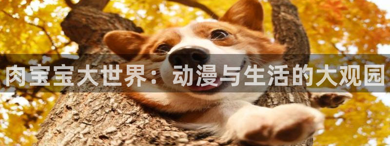 斗罗大陆漫画樱花漫画免费观看：肉宝宝大世界：动漫与生活的大观园